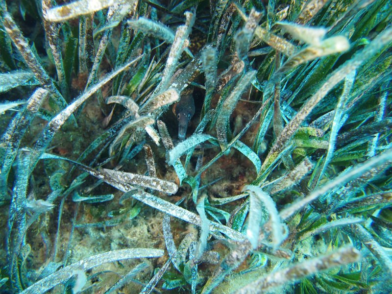 2013-09-12 12-13-04 Mary.JPG